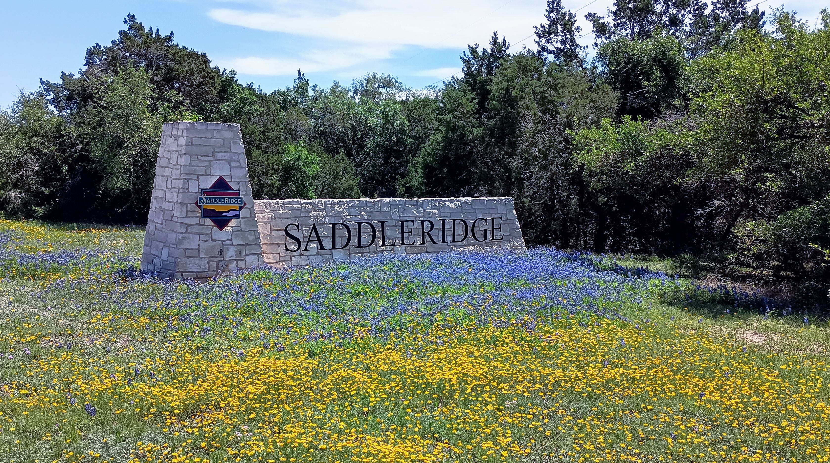 Saddleridge Entrance off RR12